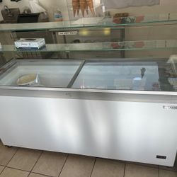 Ice Cream Freezer 