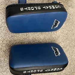 Muay Thai Pads (Combat Sports)