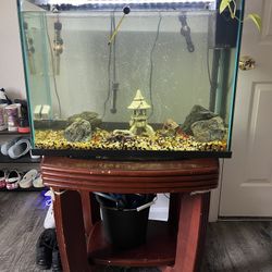 37 Gallon top Fin Bubble Wall Aquarium 