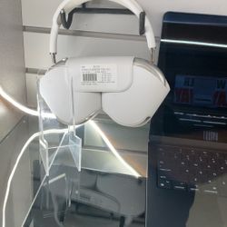 Apple Headphones