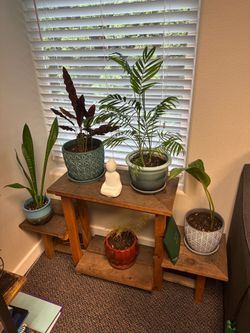 Plant stand