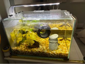Aquarium - Complete Set!
