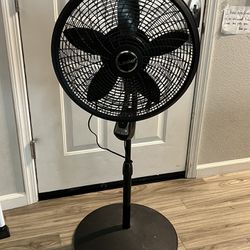 Lasso Rotating Fan 