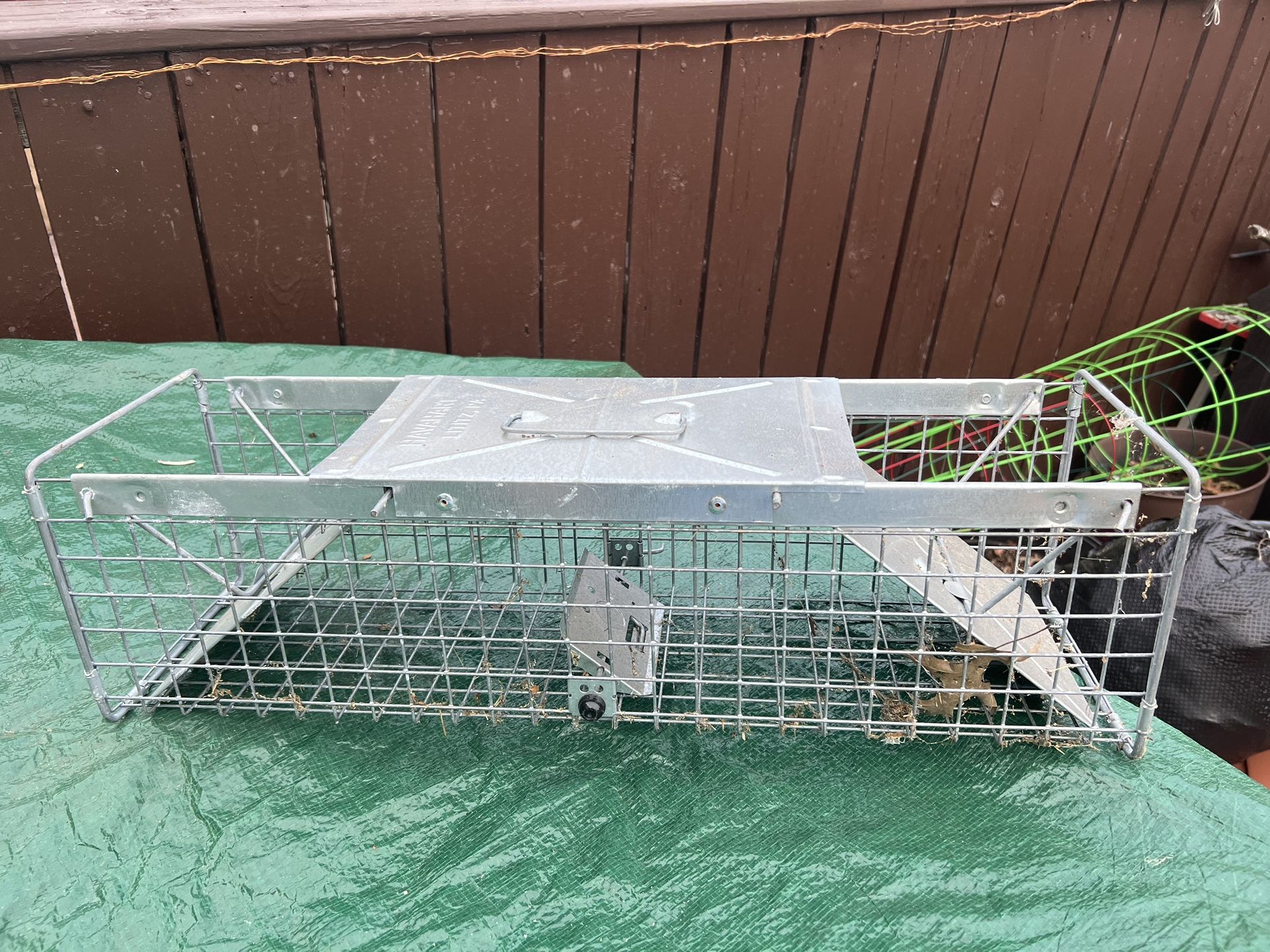Animal Trap
