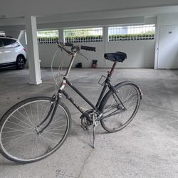 Vintage Bike Bicycle Dunelt 