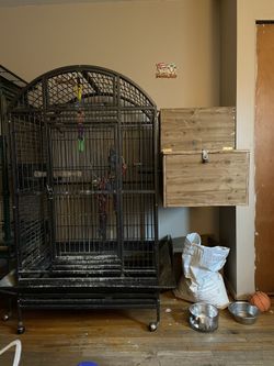 Bird Cage