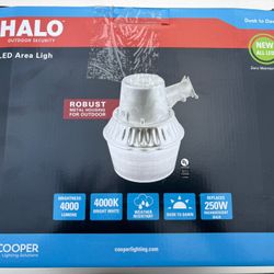 Halo Outdoor Security Light 