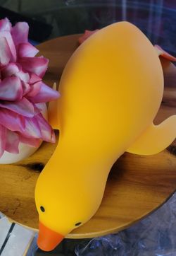 Giant Duck