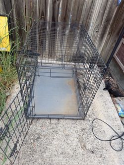 Medium Black Wire Dog Crate with Tray