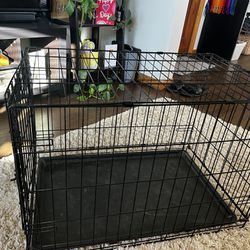 Puppy cage