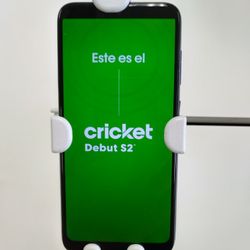 Cricket Debut S2 2024