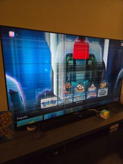 65" Sony TV