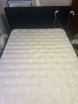 Bed with bed frame
