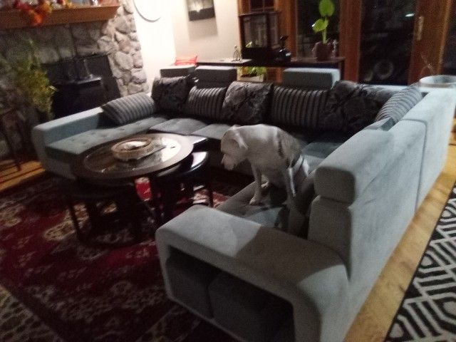 Brand New Couch