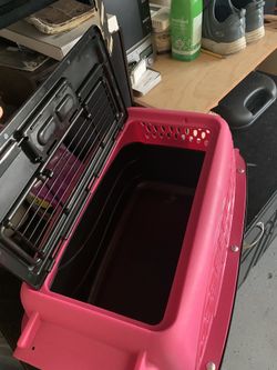 SMALL DOGS 🐕 TRAVEL HOUSE