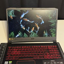 Acer Nitro 5 Gaming Laptop i5-10300H / RTX 3050 / 144Hz