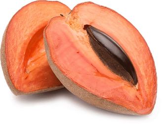Mamey tree