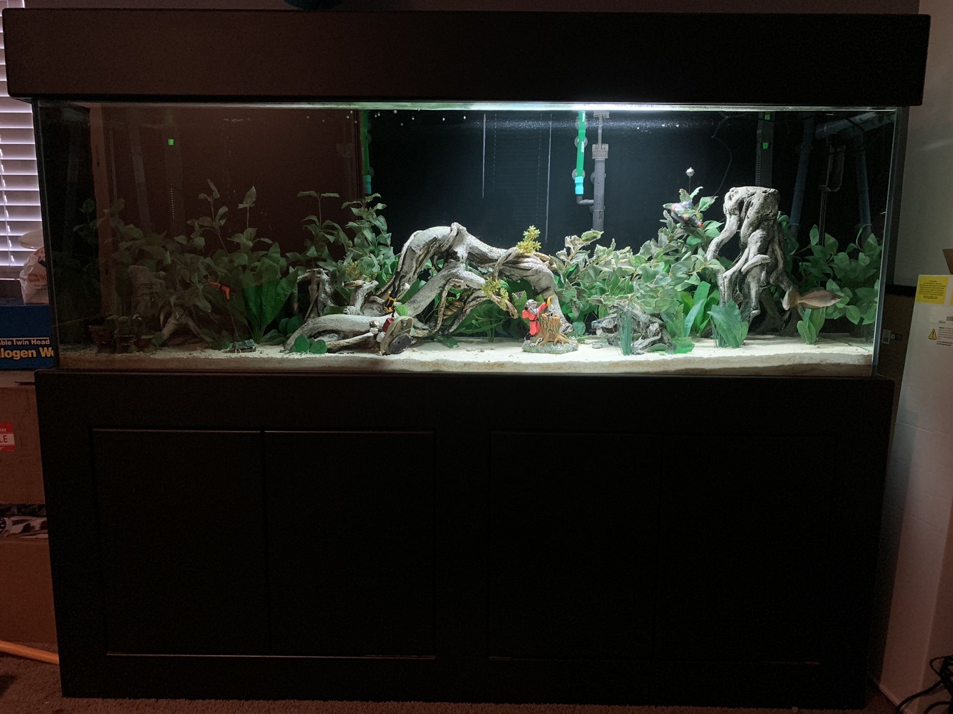 135 Gallon Aquarium fish tank with stand and canopy