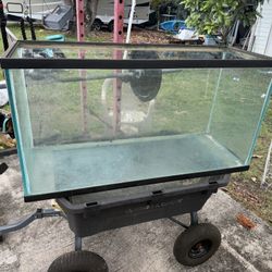 90 Gallon Fish Tank 