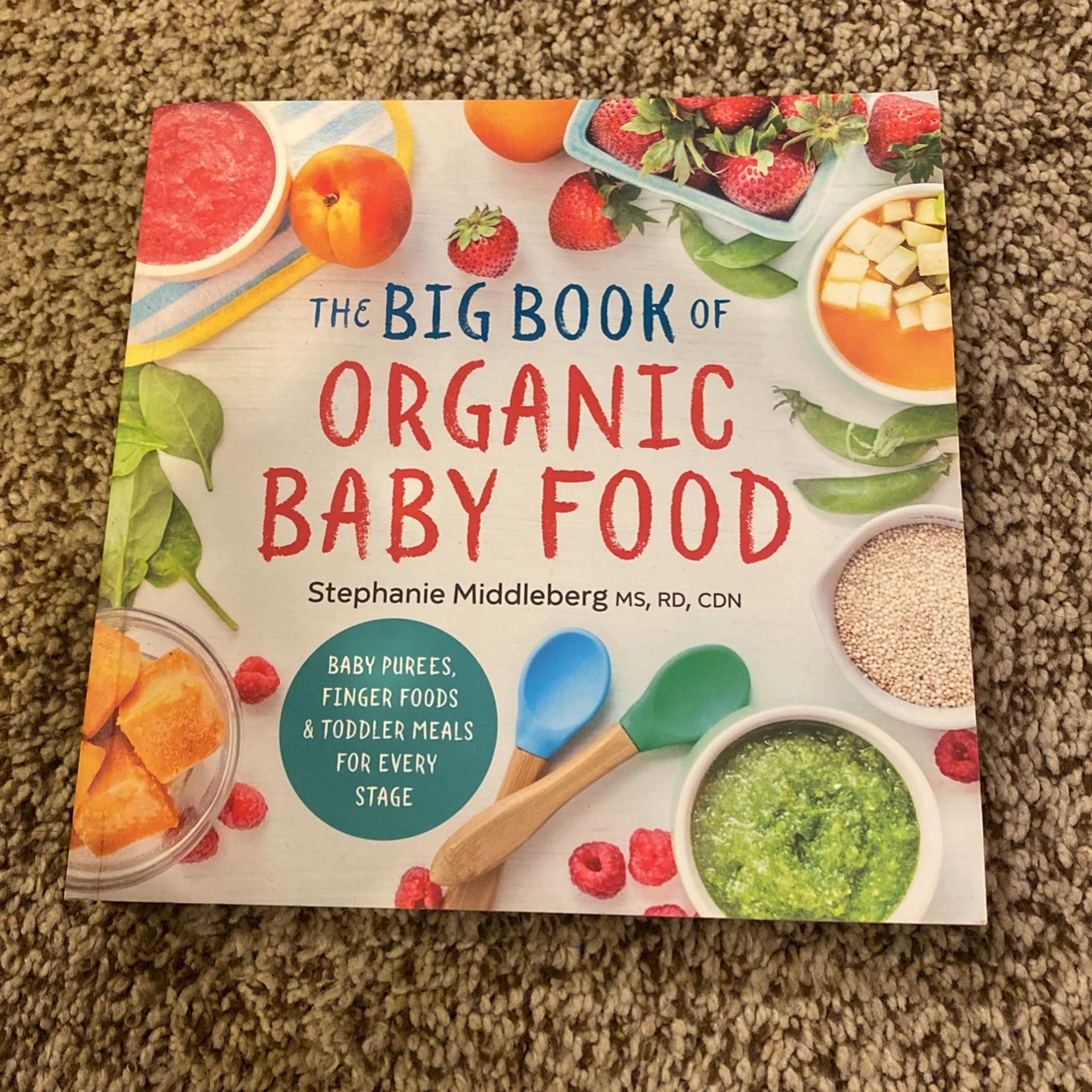 Big Book of Organic Baby Food