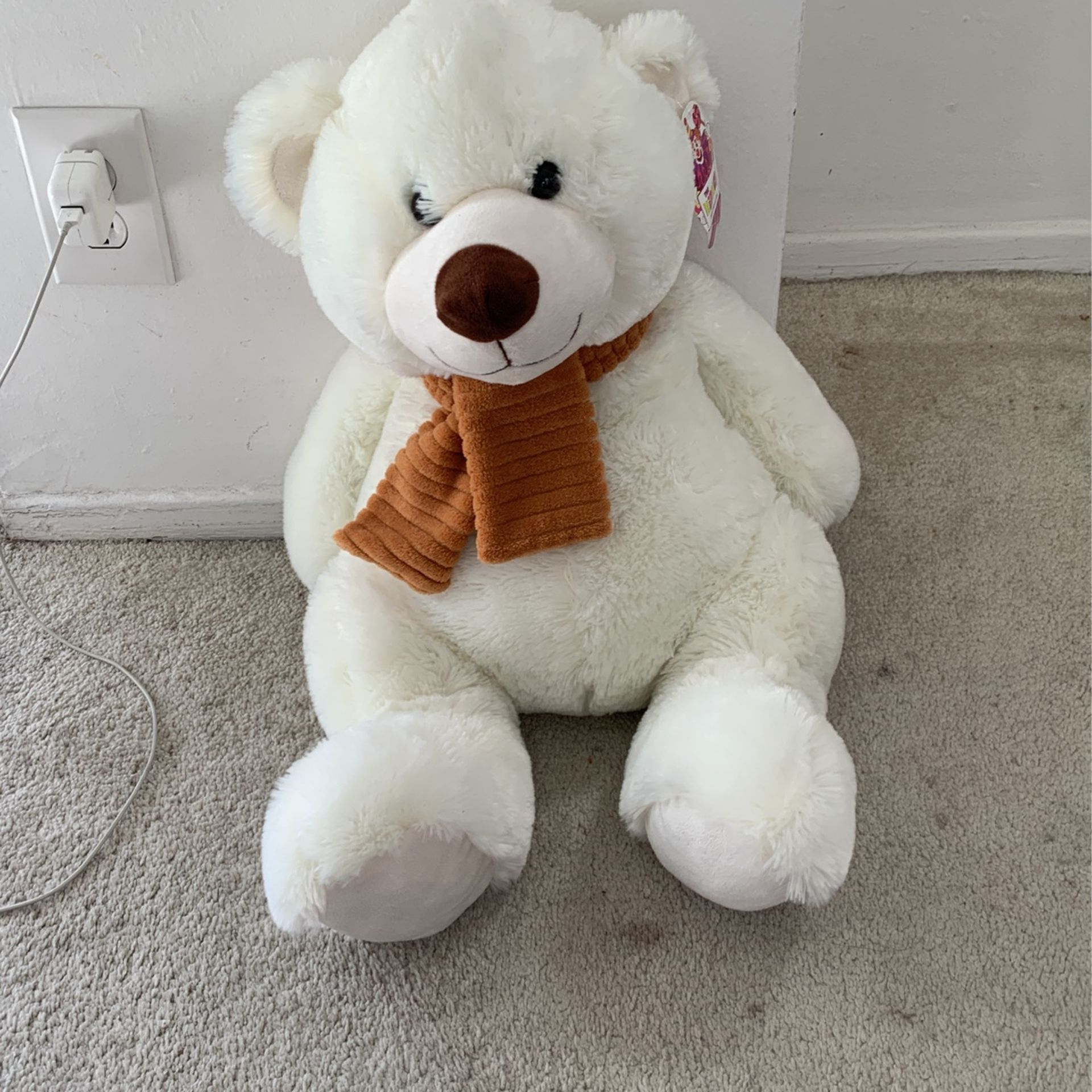 Teddy Bear