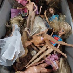 Wide Range Of Naked Barbies