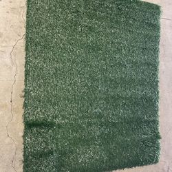 Turf