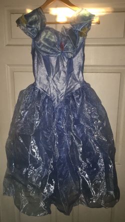 Cinderella costume