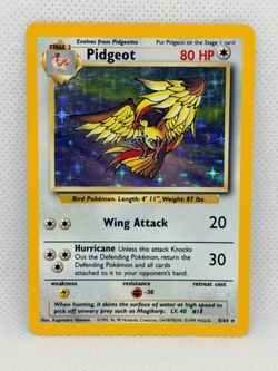 Pokémon TCG Pidgeot Holo Card Jungle English, Vintage