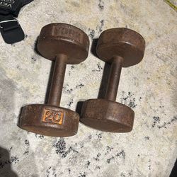 20 Pound Dumbbells