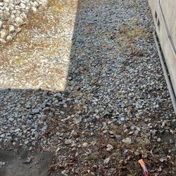 Rocks - FREE!