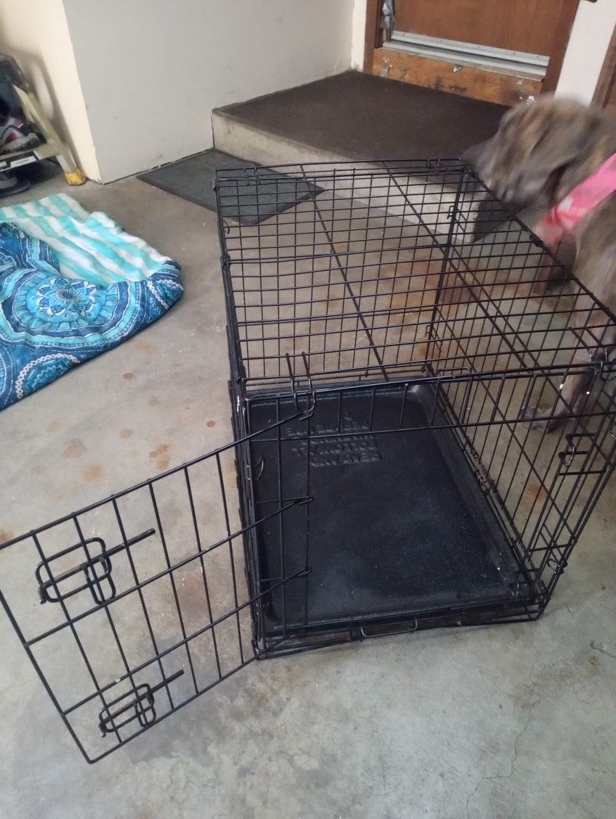 Large Dog Crate
