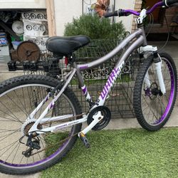 Bicicleta De 26 Pulgadas 