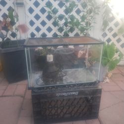 Reptile Habitat 