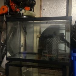 10 gallon