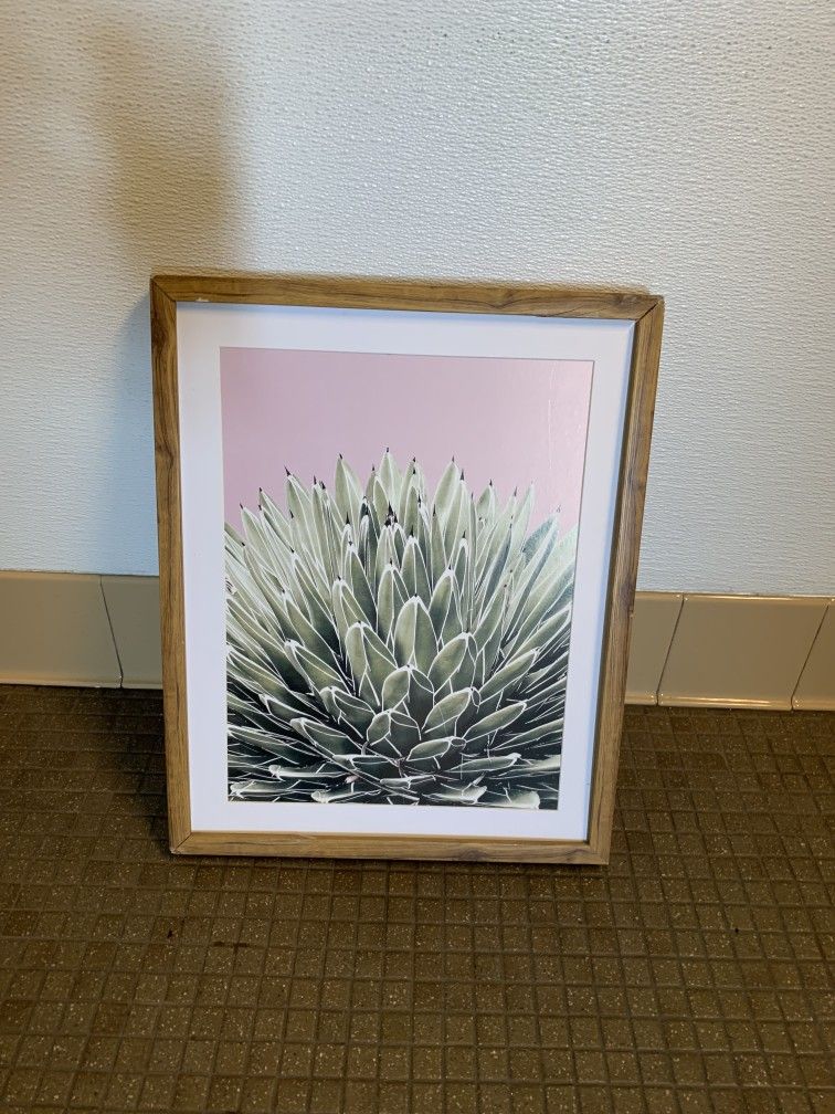 Contemporary Cactus Art Print in Natural Wood Frame
