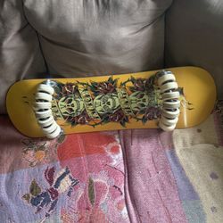 14 Wheel Skateboard 