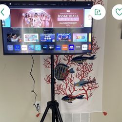VIZIO 40 Inch SMART TV  Class D Series TV With Tripod Stand 