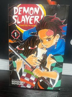 DEMON SLAYER KIMETSU NO YAIBA - PAPERBACK
