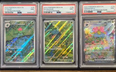 151 Set