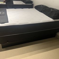 New queen or full sized mattresses in your choice of firm or plush