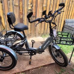 Lectric Trike