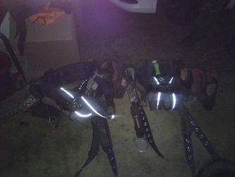 Safety Harness 2 Of Them