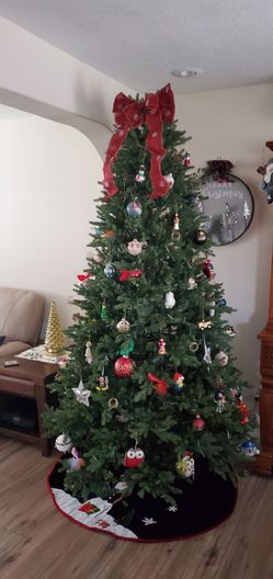 7 foot prelite