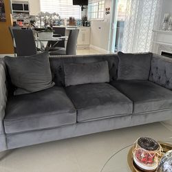 Paige Velvet Sofa in Gray