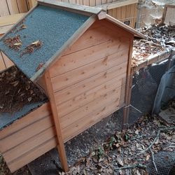 Chicken Coop, Used 