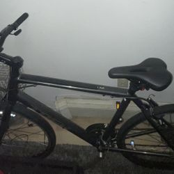 Trek FX 1