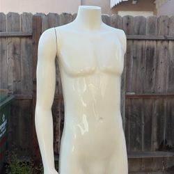 Male Mannequin 