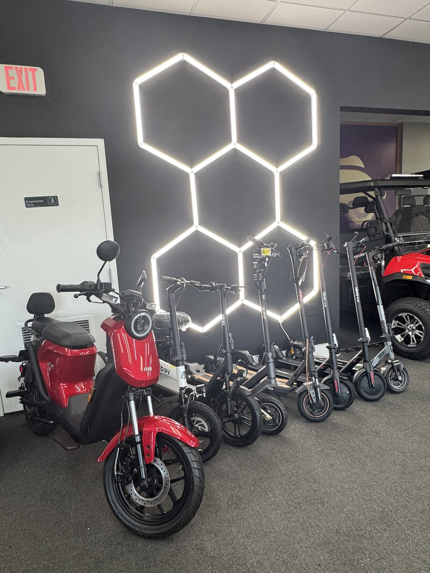 Electric Scooter