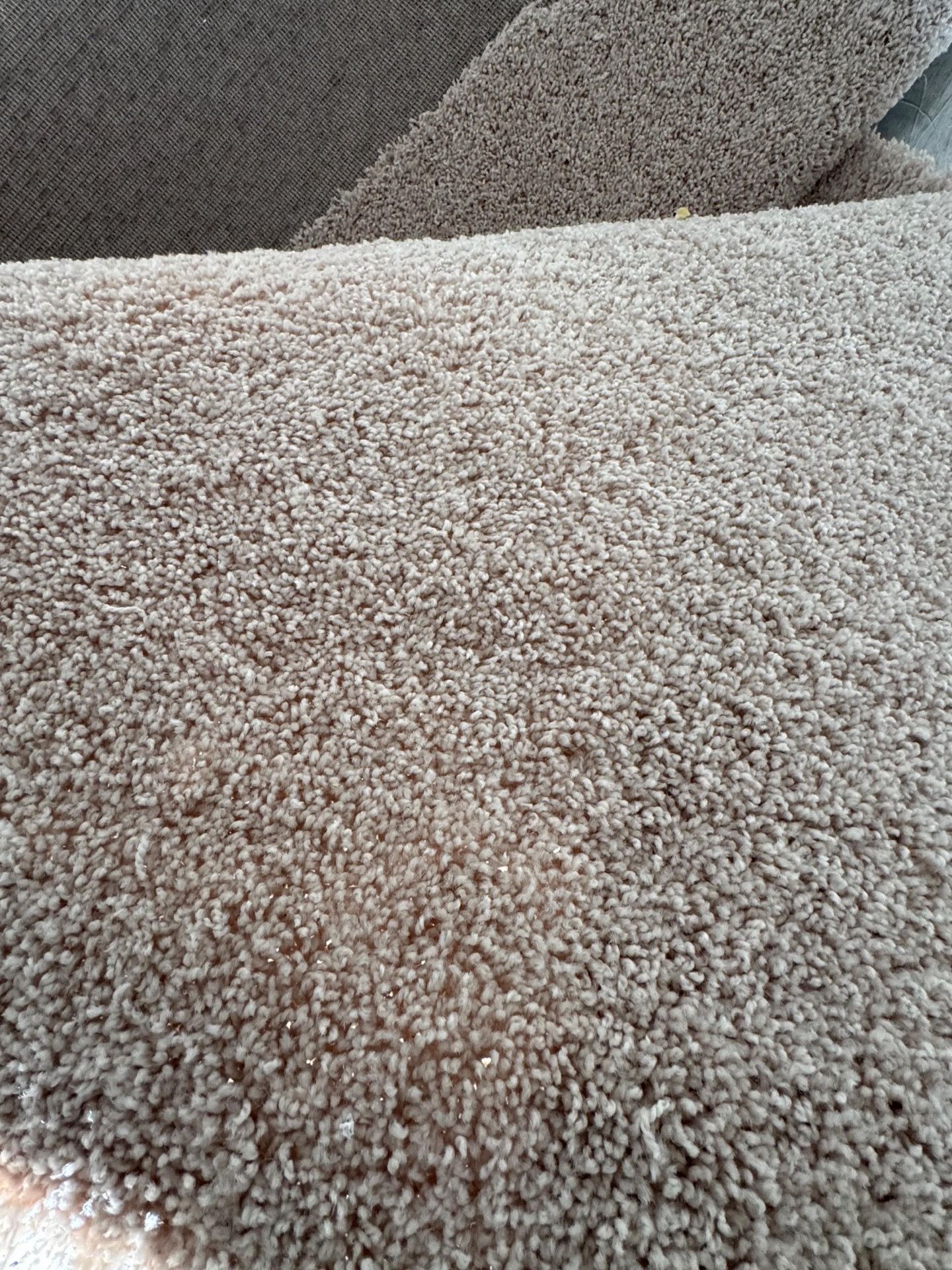 New construction carpet
